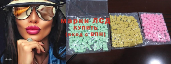 гидра Заводоуковск