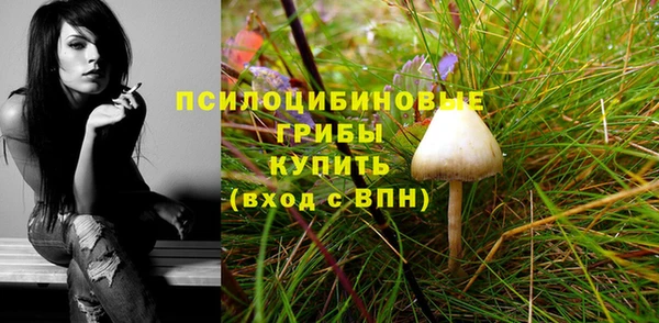 дживик Заволжск