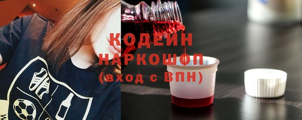 гидра Заводоуковск