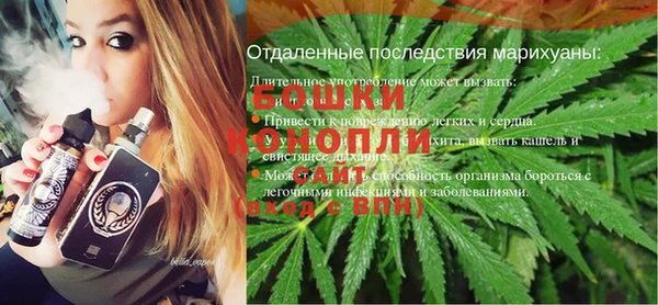 гидра Заводоуковск