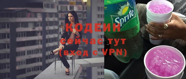 гидра Заводоуковск