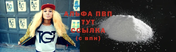 гидра Заводоуковск