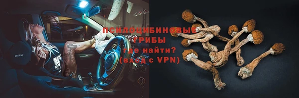 гидра Заводоуковск