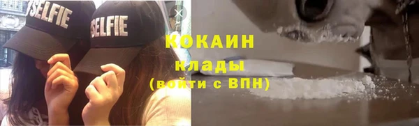 ALPHA PVP Чердынь