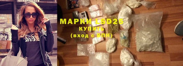 индика Михайловка
