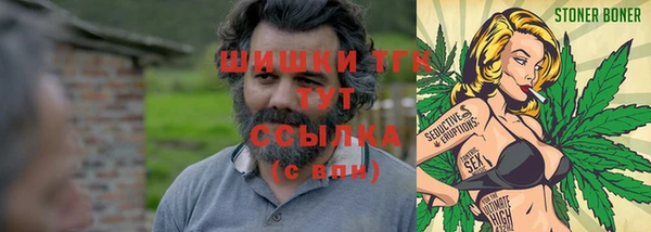 ALPHA PVP Ельня