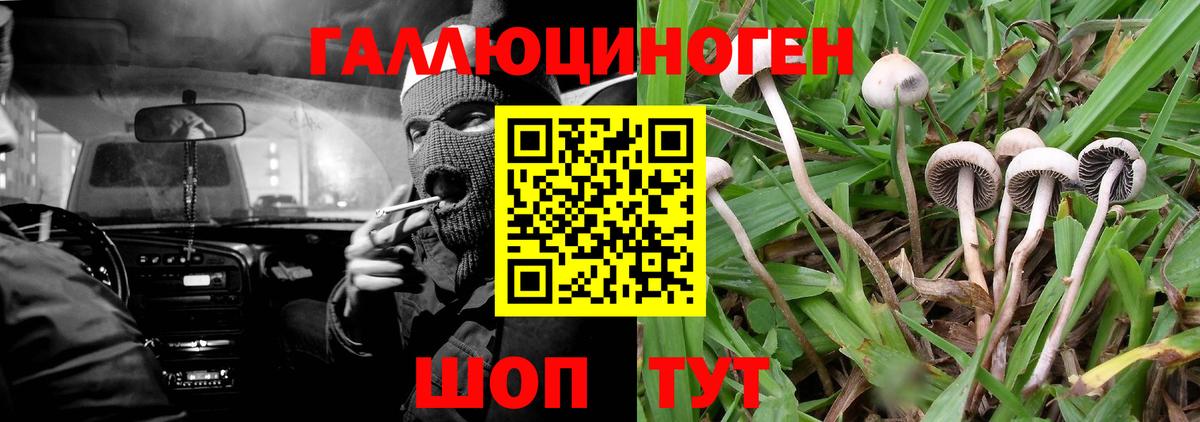 Псилоцибиновые грибы GOLDEN TEACHER Туймазы
